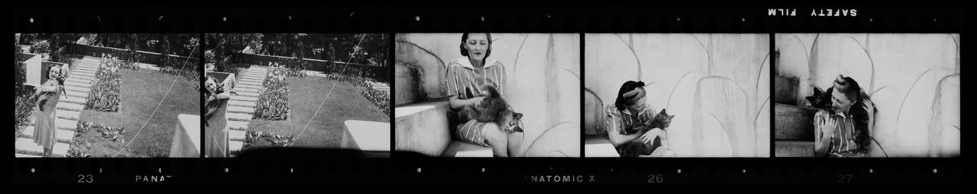 Portraits de Clorinthe et Cécile Perron possiblement posant avec un chat
