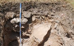 Soil profile of Alameda de Oriente
