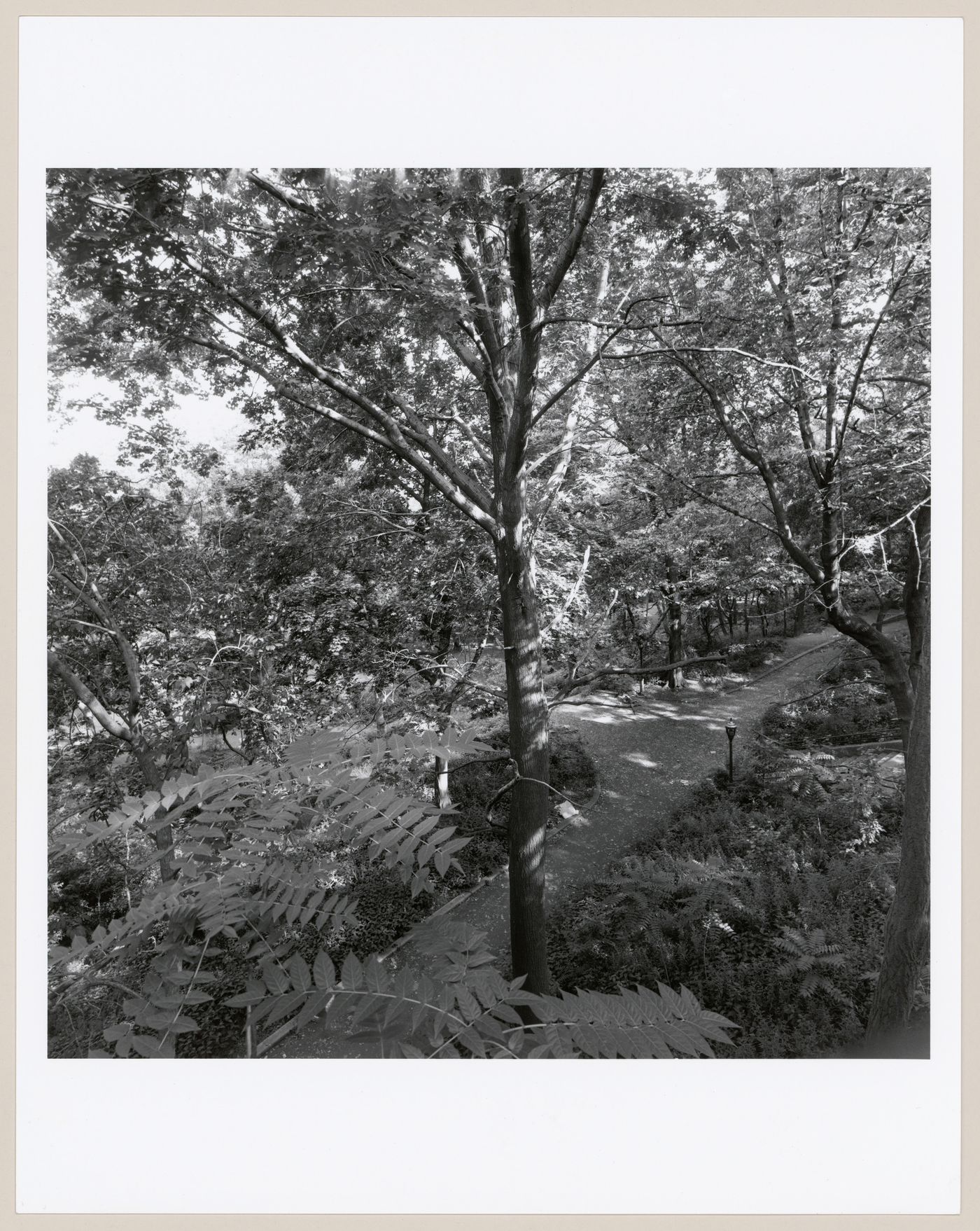 Morningside Park, New York, New York