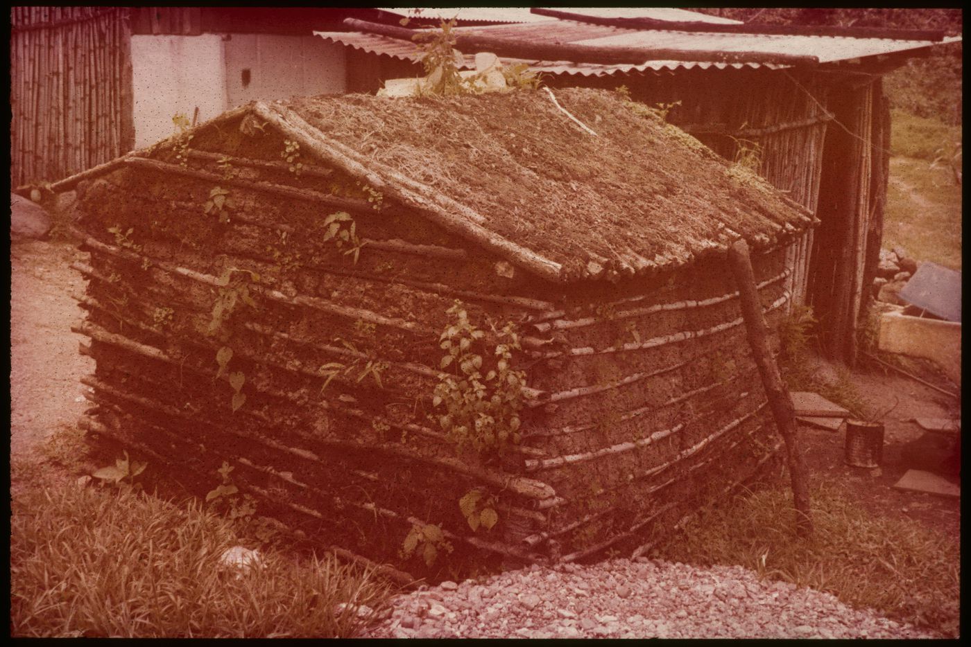 View of sauna made of bamboo and earth, San Lucas Tolimán, Guatemala