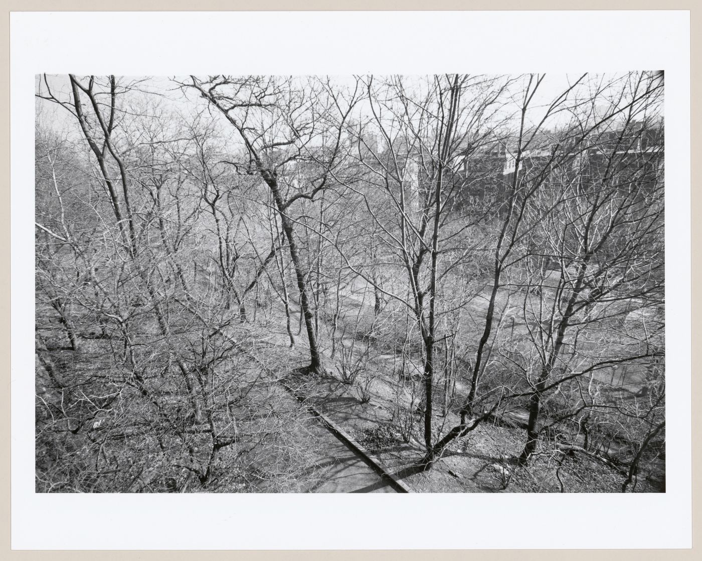 Morningside Park, Bronx, New York City, New York