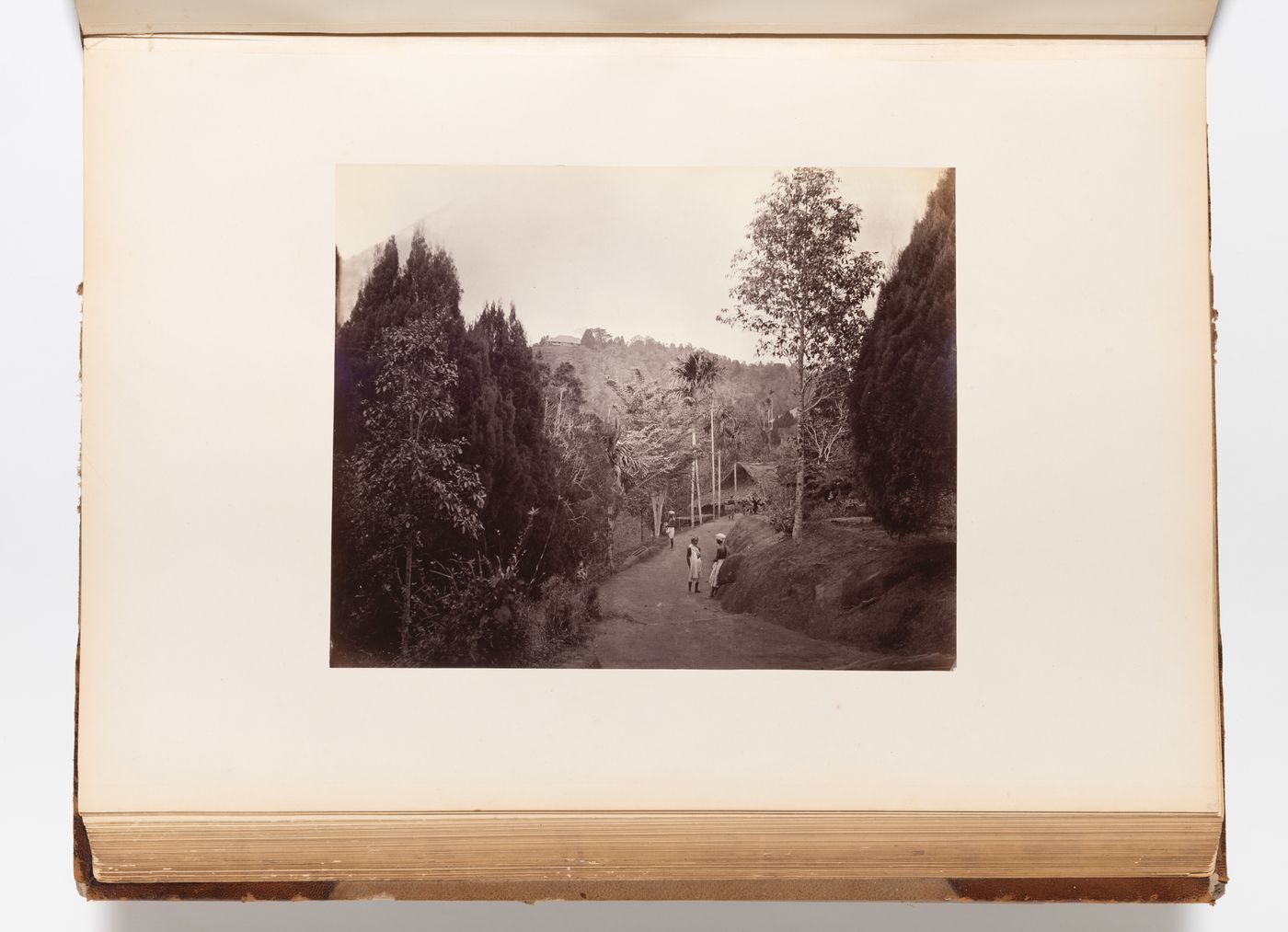 View of a jungle road showing houses and people, Penang (now Pinang, Malaysia)