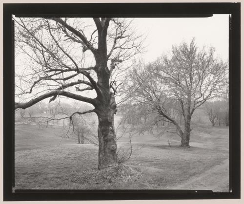Country meadow, looking down from Scarboro Hill, Franklin Park, Boston, Massachusetts