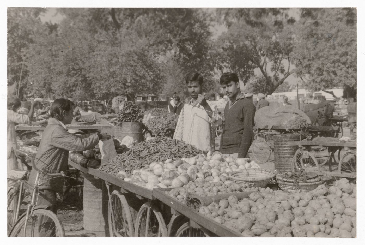 Photograph of food market likely near Chandigarh, India