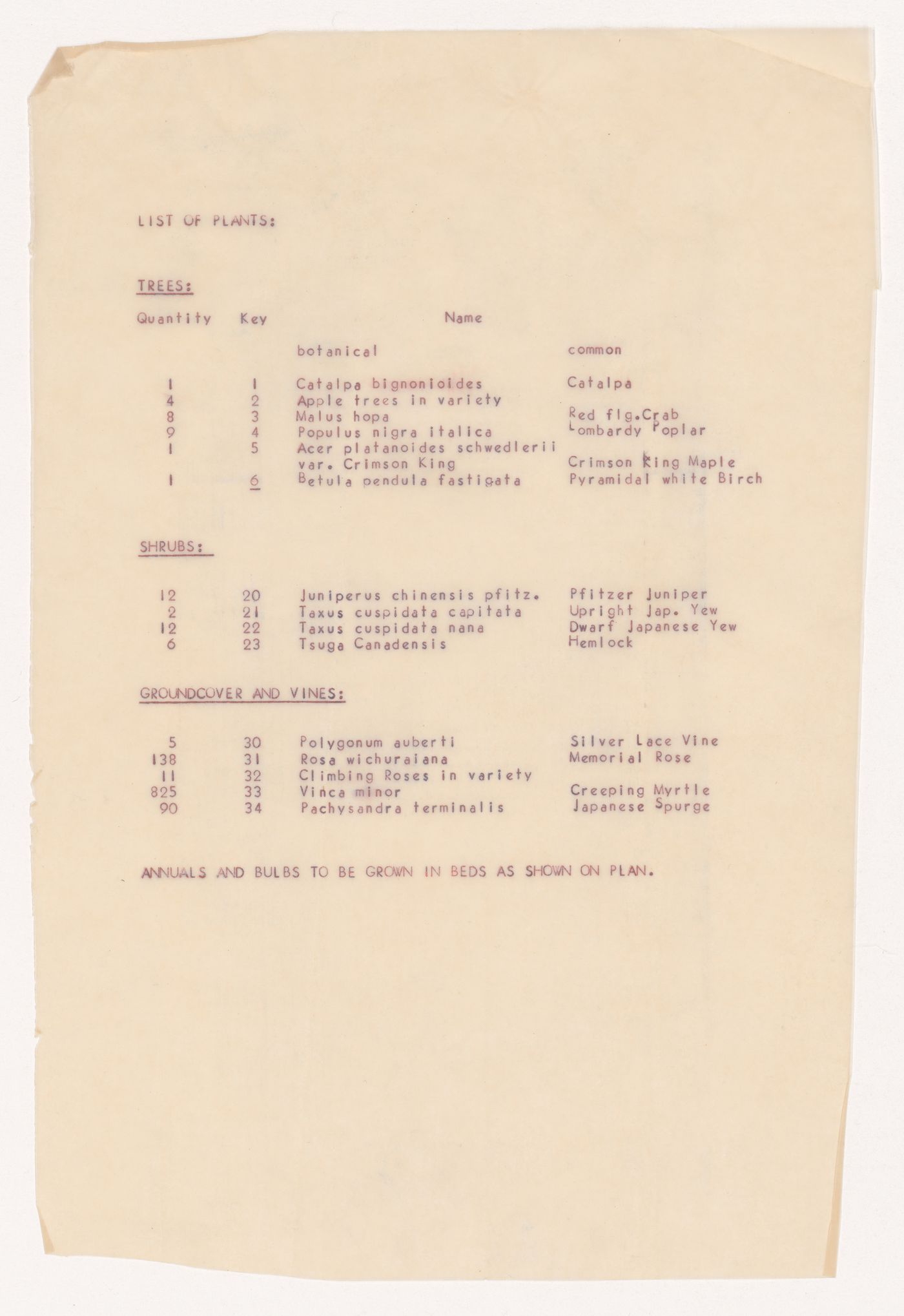 List of plants for Earl's Court Children's Home, St. Clair Gardens, Vancouver, British Columbia