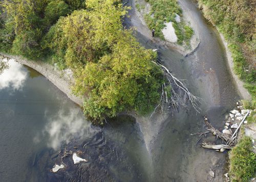 An Enduring Wilderness: Forks of Rouge River and Little Rouge Creek, Rouge Park, Toronto