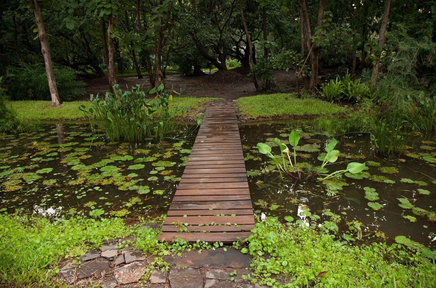 Copper House II : footbridge over lily pond