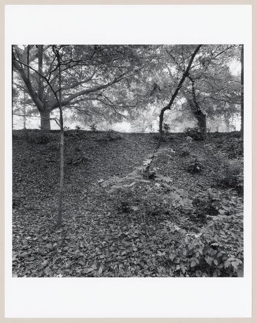 Druid Hills, Atlanta, Georgia, United States