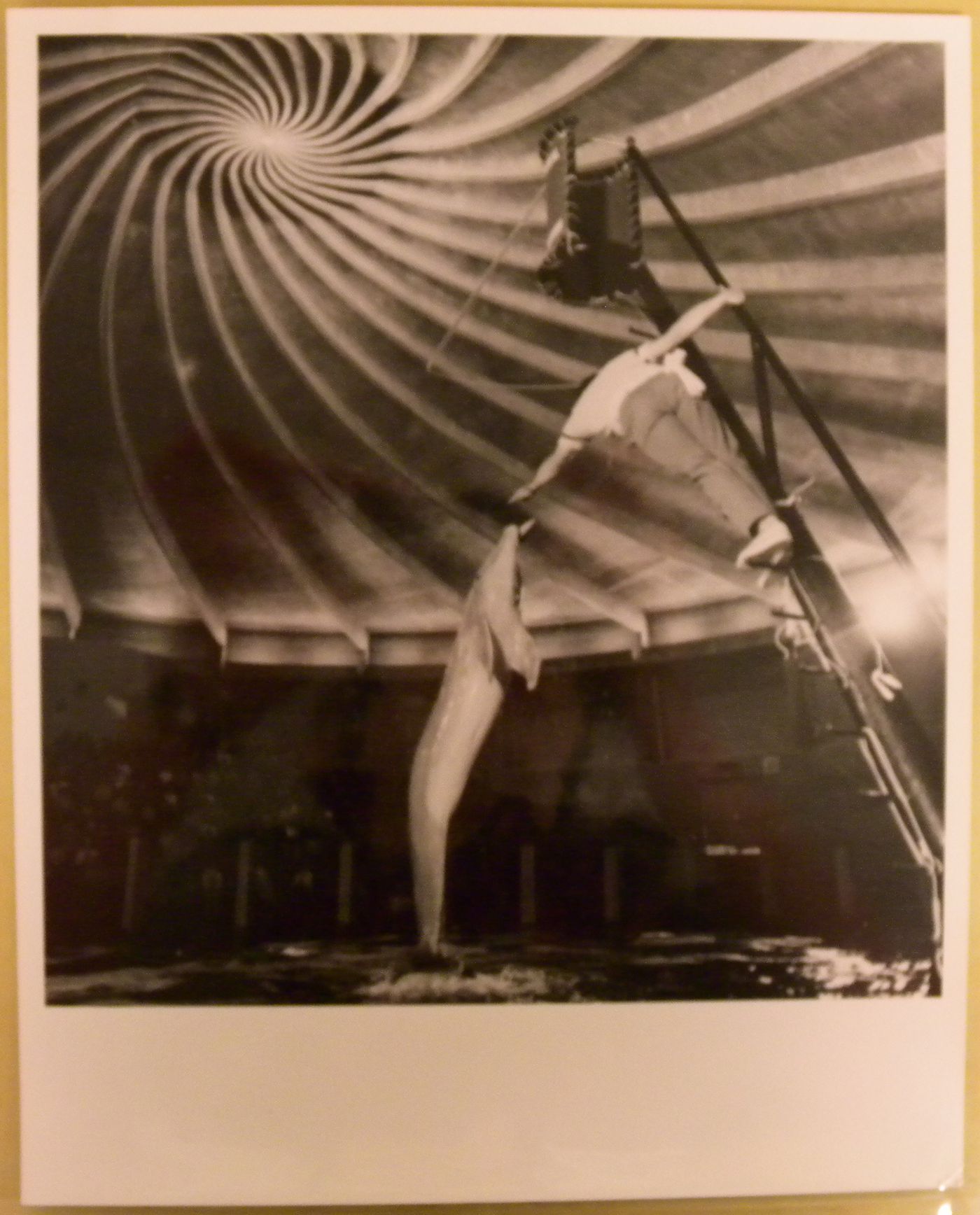 View of a dolphin and its trainer at the Alcan Dolphin Pool, Expo 67, Montréal, Québec