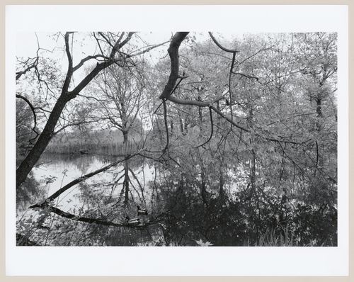The Back Bay Fens, Boston, Massachusetts