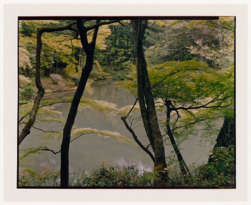 View of trees and a pond in the Moss Garden, Saihoji (also known as Kokedera [Moss Temple]), Kyoto, Japan