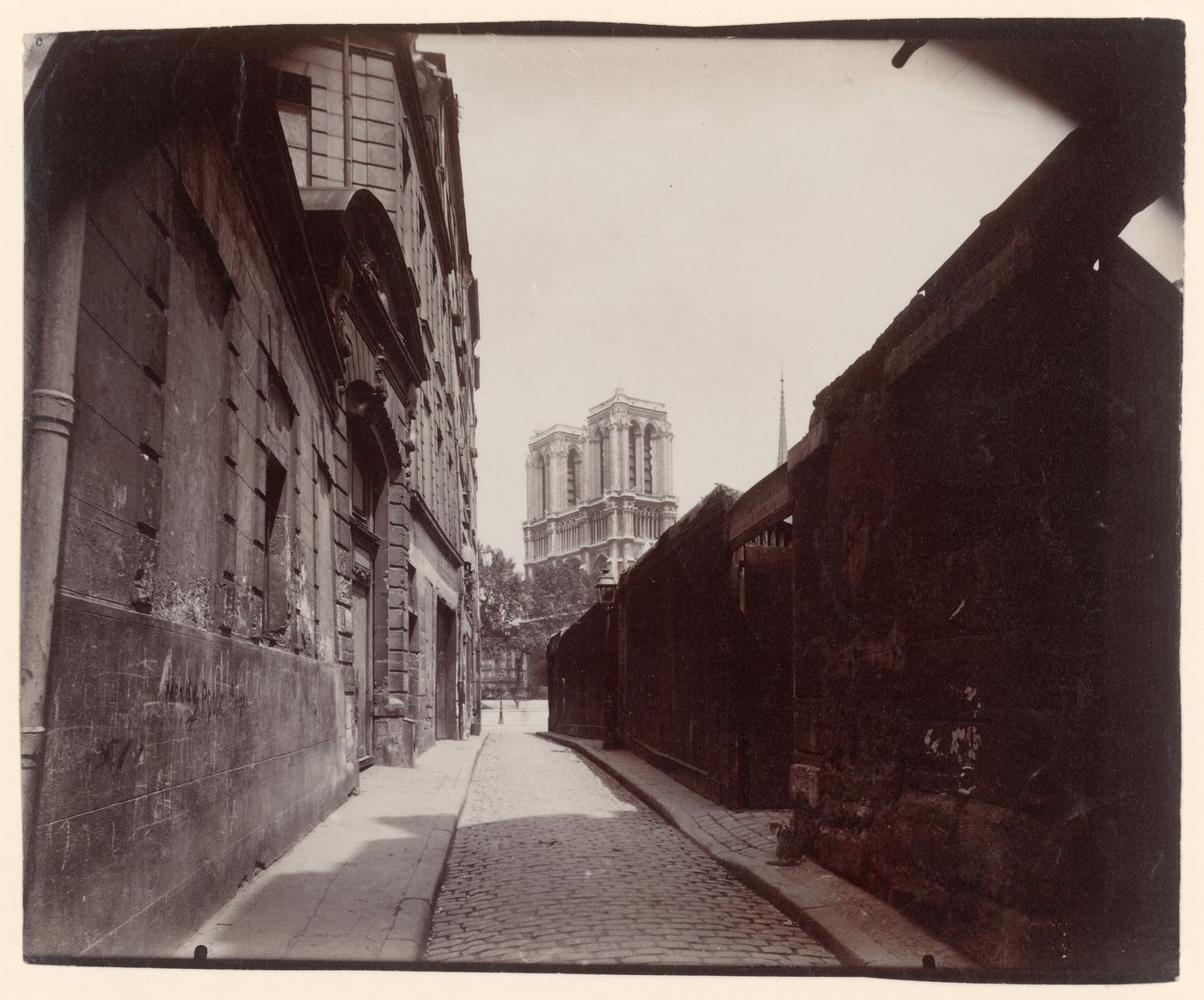 View of rue Saint Julien le Pauvre with Notre-Dame visible at the horizon, and cat in the foreground, Paris, France
