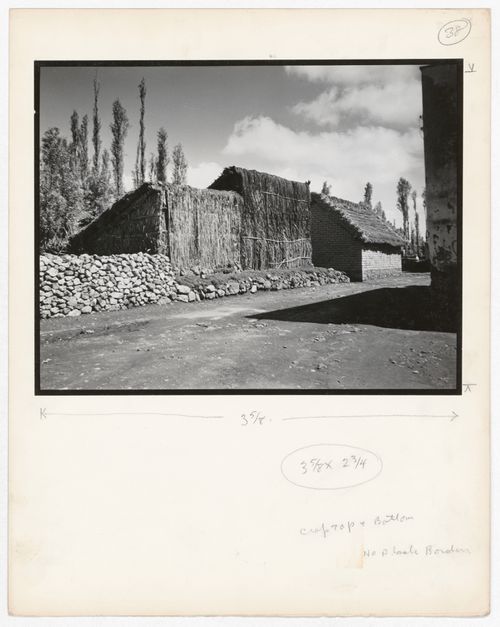 View of a house with reed walls, Xochimilco, Mexico City, Mexico
