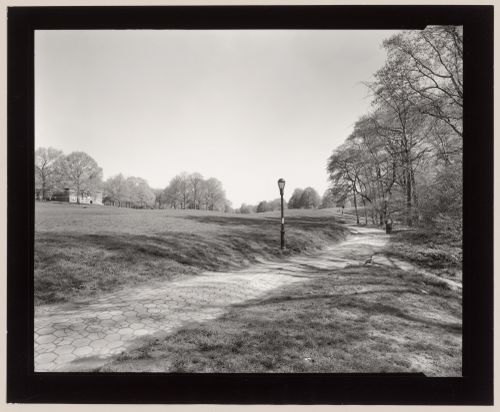 View of the Picnic House and the Long Meadow from the Pool, Prospect Park, Brooklyn, New York