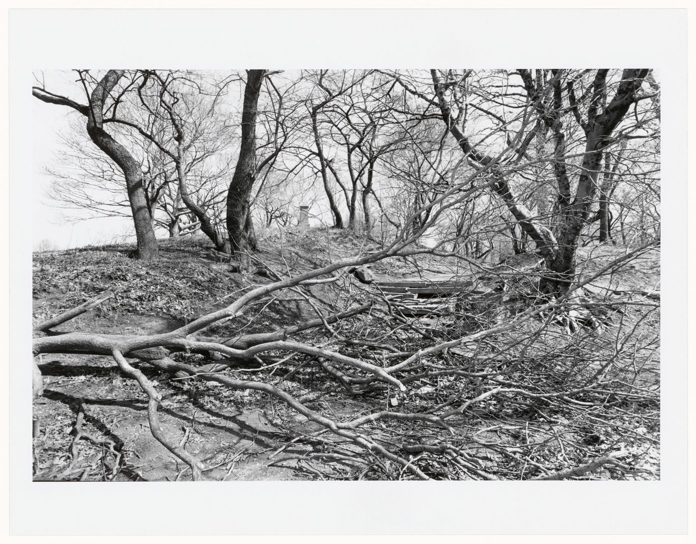 Prospect Park, Brooklyn, New York City, New York
