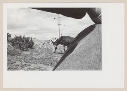 Horse and church in the background, South America
