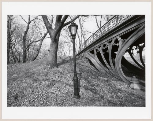 Central Park, Manhattan, New York City, New York