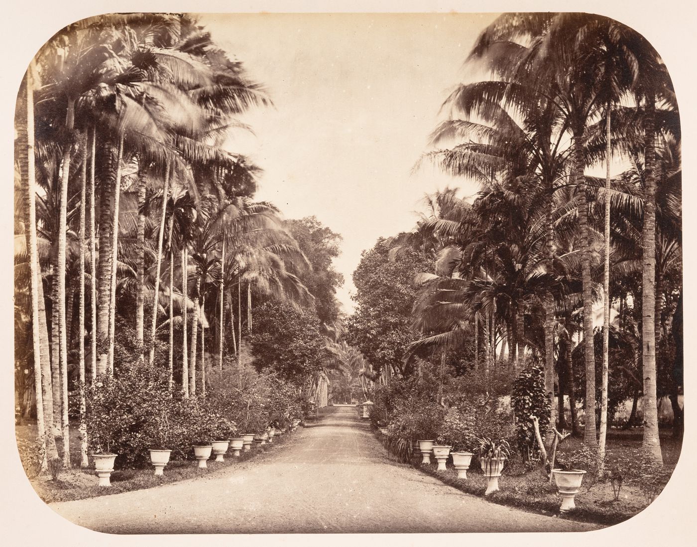 View of the tree-lined driveway to a private house, Semarang, Dutch East Indies (now Indonesia)