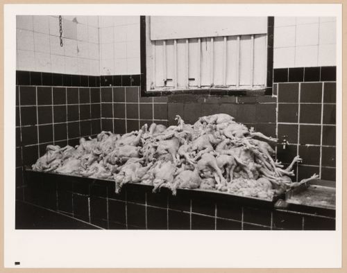 Montréal, Boulevard Saint-Laurent