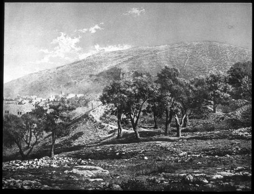 View of an archeological site near the Dead Sea, Israel