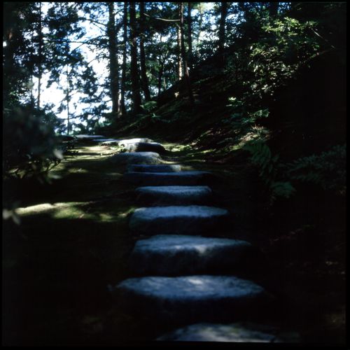 Stepping stone path, Katsura Imperial Villa, Kyoto, Japan