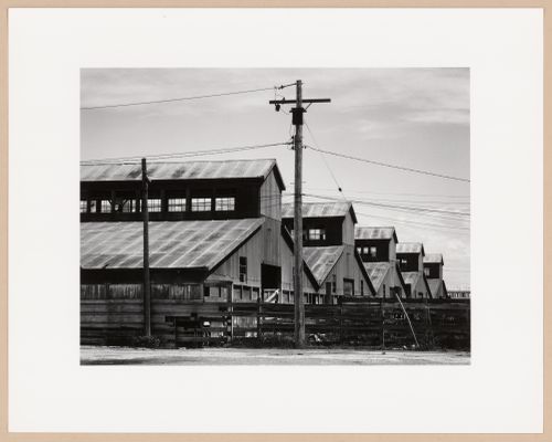 Livestock sheds, Union Stock Yards, Winnipeg, Manitoba, from the series The Forms of Canadian Industrial Architecture