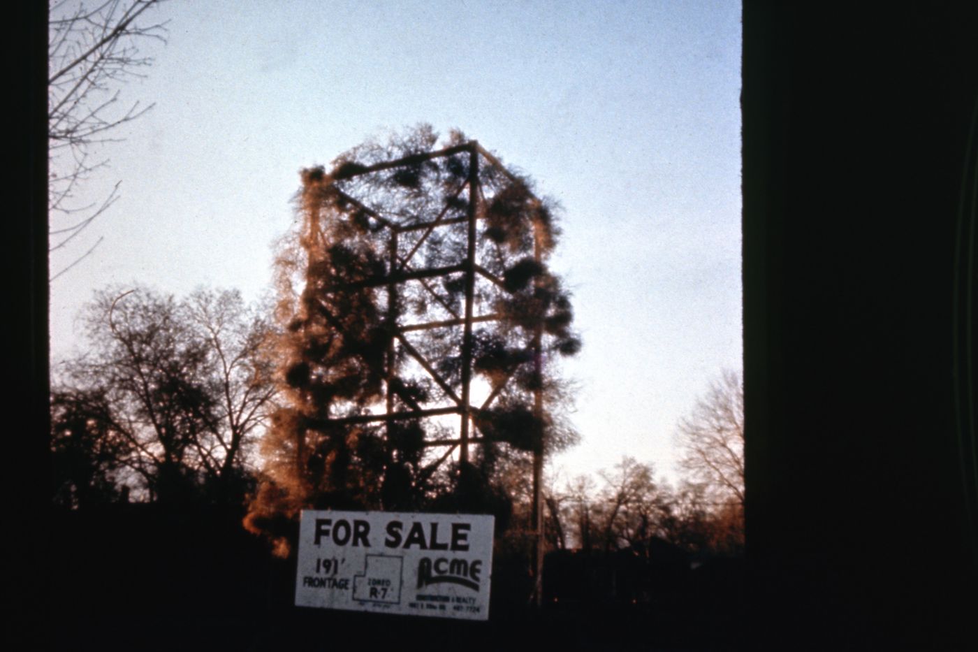 Photograph of Tumbleweeds Catcher