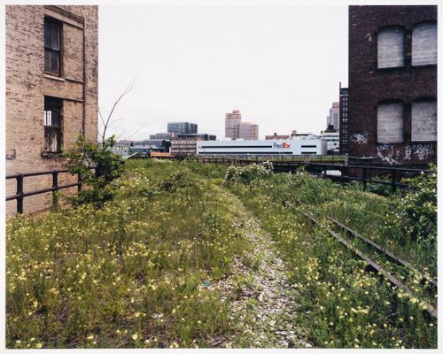 Looking Northwest from 29th Street, from the series Walking the High Line