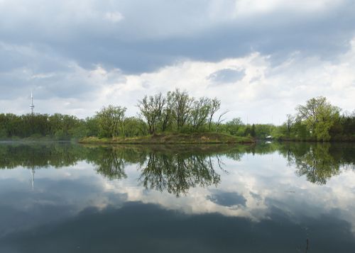 An Enduring Wilderness: Hamlan's Island and Bird Sanctuary, Toronto Islands, Toronto