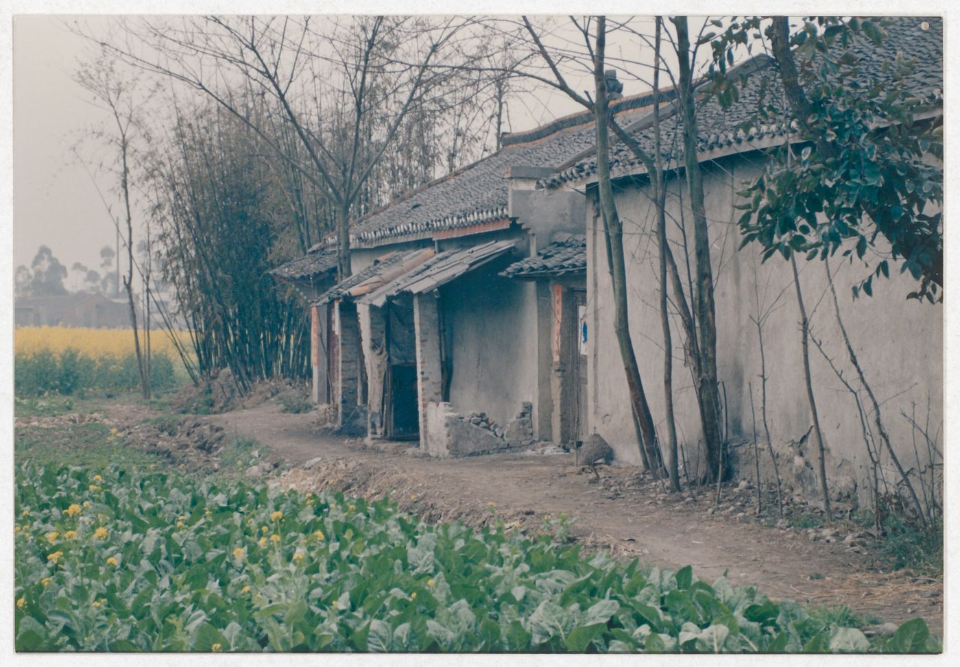 View of rural house in Sichuan province, China