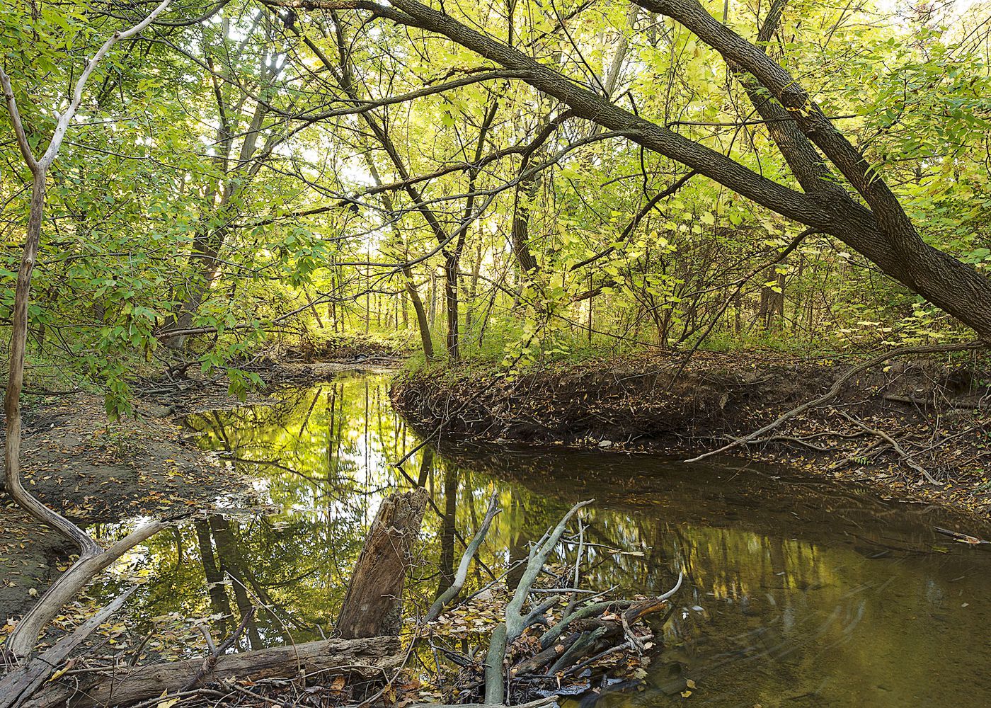 An Enduring Wilderness: Black Creek, Toronto