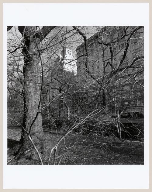 Central Park, New York, New York