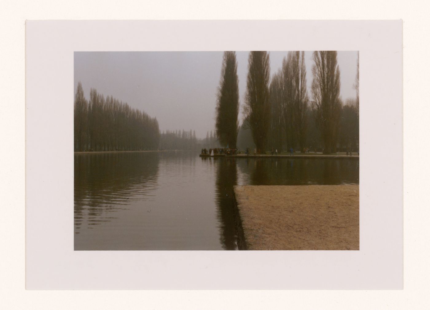 Reflet de peuplier de vie, Parc de Sceaux, France