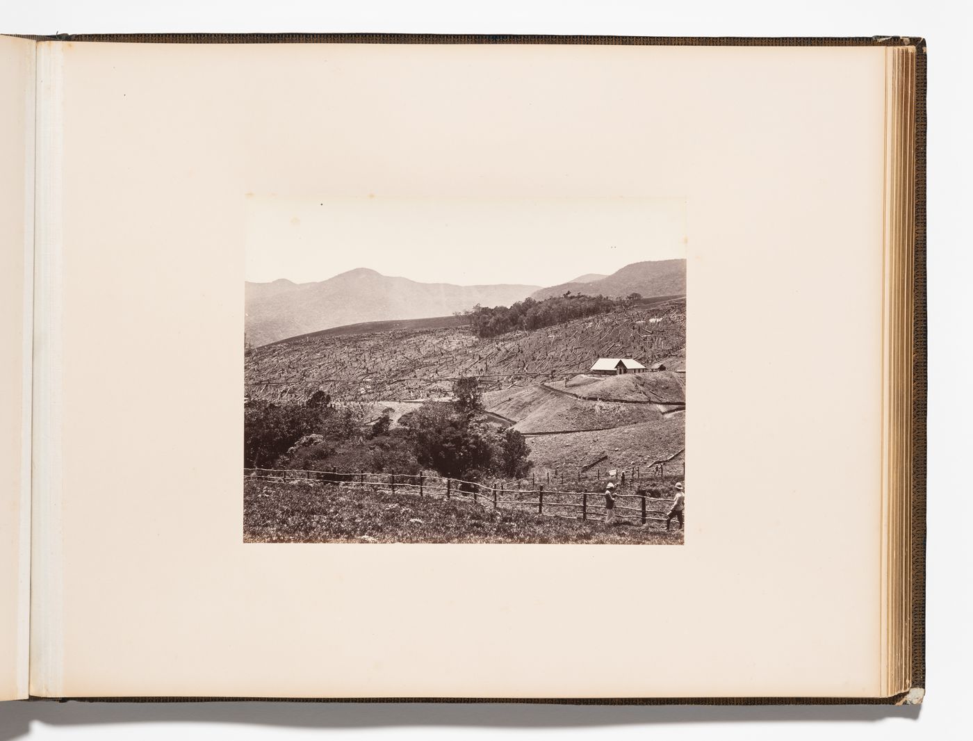 View of a plantation with a fence in the foreground, Ceylon (now Sri Lanka)
