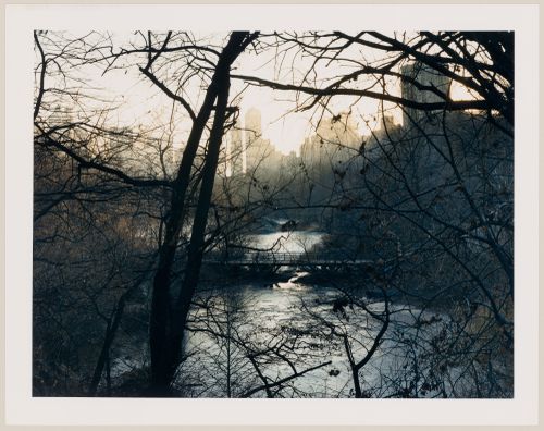 Viewing Olmsted: View of The Lake from the Ramble, Central Park, New York City, New York