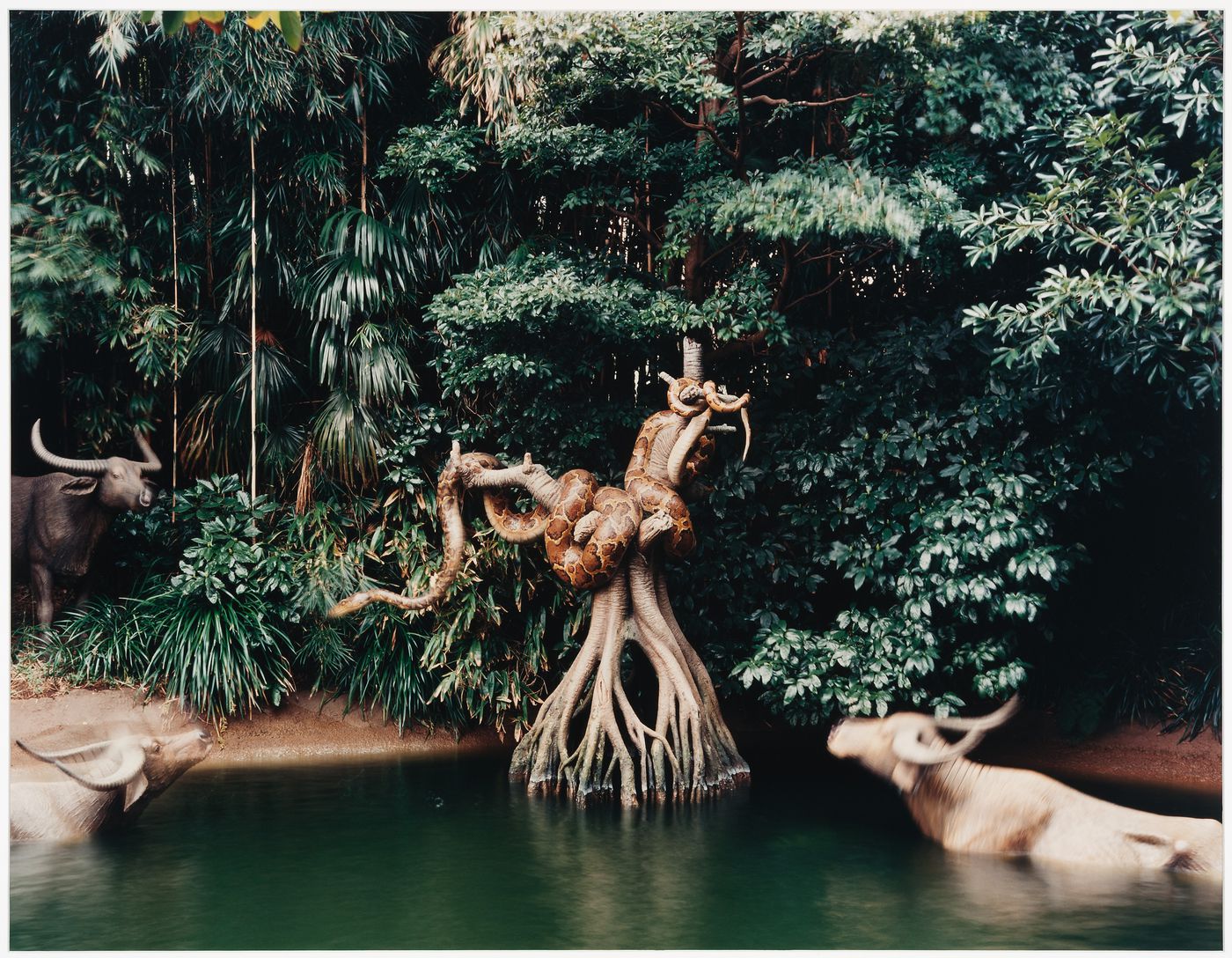 Jungle Cruise; Adventureland, Tokyo Disneyland, Tokyo