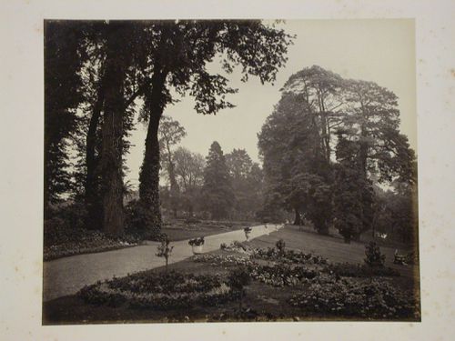 Alexandra Park