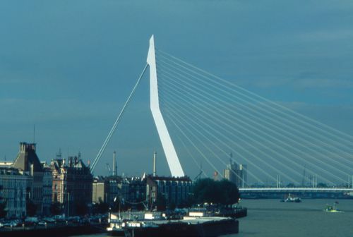 View of Erasmus Bridge, Rotterdam