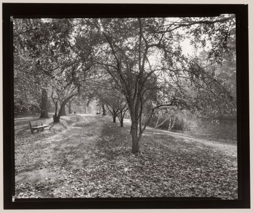 Just north of Bridle Path Bridge, Muddy River Improvement, Muddy River, Boston, Massachusetts
