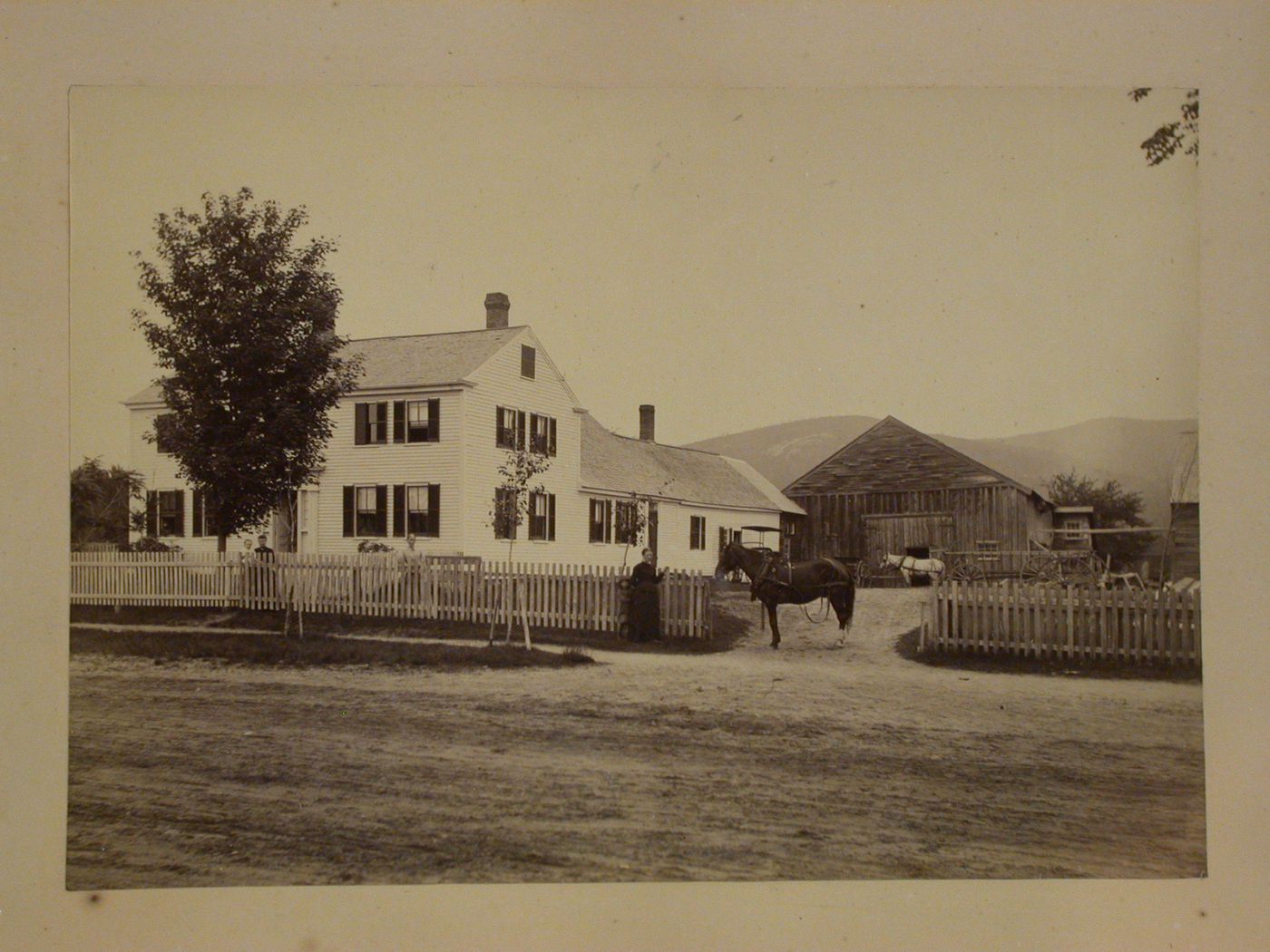 Clapboard house with horse and barn