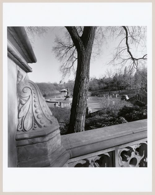 Central Park, New York, New York