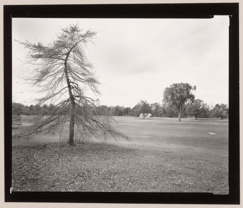 Trees, meadow, Genesee Valley Park, Rochester, New York