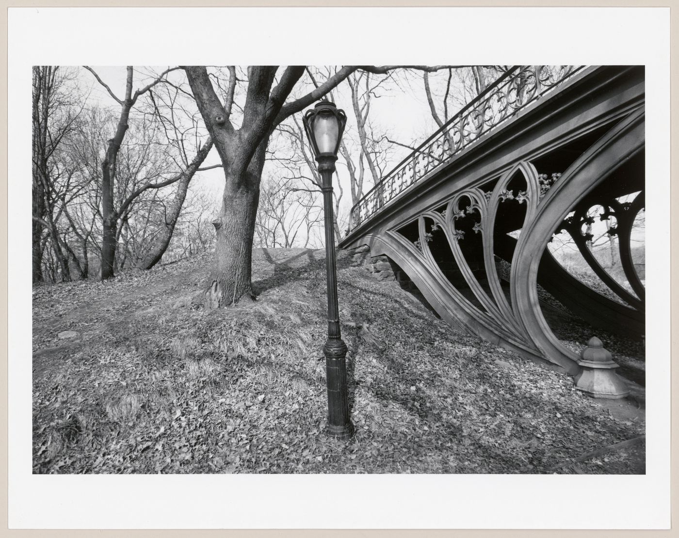 Central Park, Manhattan, New York City, New York