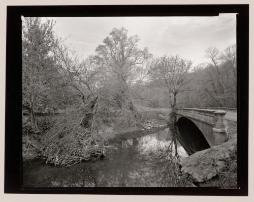 Cherokee Park, Louisville, Kentucky, 1993
