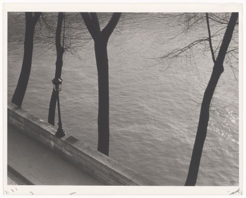 Ile Saint-Louis: Looking down on walkway and trees overlooking the Seine (No. 5), Paris, France
