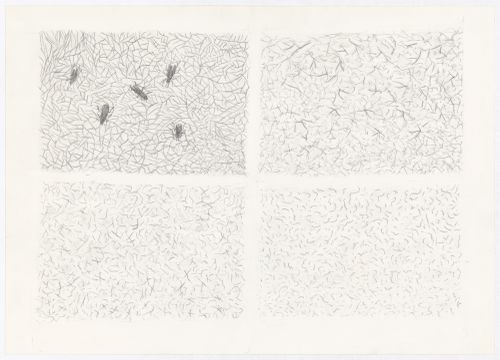 Drawing showing the installation stages of Clay House