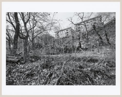 Morningside Park, Bronx, New York City, New York