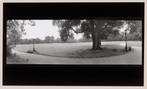 Nethermead, Prospect Park, Brooklyn, New York City, New York