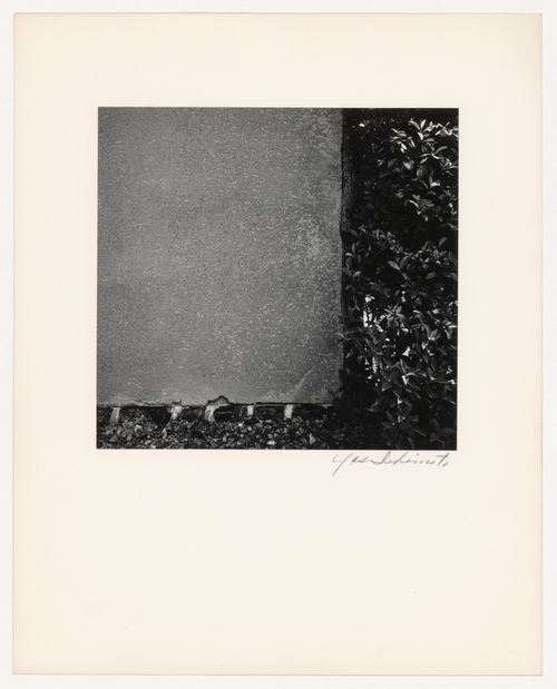 Detail of a wall and a hedge, Katsura Rikyu (also known as Katsura Imperial Villa), Kyoto, Japan