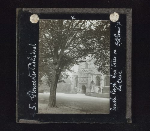 View of south porch of Gloucester Cathedral with tree in foreground on close, Gloucester, Gloucestershire, England